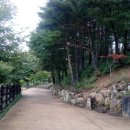 식물원앞까페