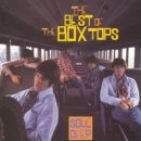 Trains And Boats And Planes / The Box Tops(박스 탑스) 이미지