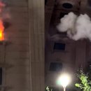 호텔 코보스 이미지