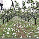 김순남 농장 이미지