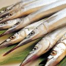 웰빙수산물 이미지