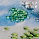 순천 반려동물장례식장 하늘별 | 순천반려동물장례식장 순천반려동물장례식장하늘별 마지막 인사 준비