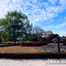 수락산만남의광장 이미지