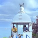 댕냥이네곳간 | 강아지랑 묵호 당일치기? 젊음으로 밀어붙인 대장정 (feat. 덕평휴게소 &amp; 배니닭강정 비추 후기)