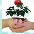 전통생활문화체험관 이미지