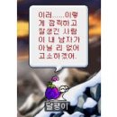 [광주 상무지구 타로] 도해 사주&amp;타로 다녀온 솔직후기