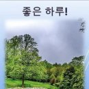 좋은글.(채근담 141~160).