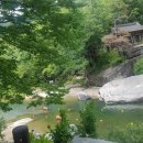 동원식당 맞은편 이미지