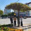 그늘막47 이미지