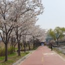 성내5교 이미지