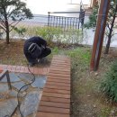 상록고등학교 이미지