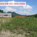 창한로 네이버블로그