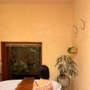 돌담약국 | 제주 서귀포 단독 숙소 추천! 프라이버시 최고였던 ‘느린가’