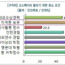 크루즈파(주) 이미지