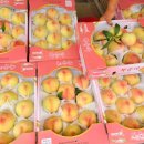 마도농산물재래시장 이미지