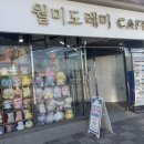 인천 월미도 월미도레미 애견동반 카페 내돈내산 후기