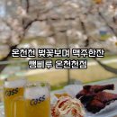 온천천2차동원로얄듀크아파트경로당 | [부산 연제구] 온천천벚꽃놀이하며 시원한 맥주한잔 쌩삐루 온천천점