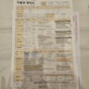 누벨에스테틱시스템 | ① 대구 결혼준비 a부터z까지 지플랜웨딩_최은지플래너
