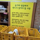 갓바위황토숯가마 이미지