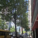 정치05 | 학회 후기 - 2025 동북아역사재단 국제학술회의 (2025. 09. 05)