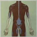 글로벌시스템 이미지