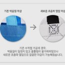 에클리츠