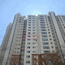 퀸덤 1차 아인슈타인 이미지