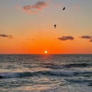 하조대 주차장 화장실 | 속초 양양 해돋이 일출명소 하조대 해수욕장 주차장 정보 및 해돋이 시간 정보