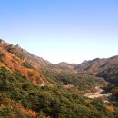 설악가든리조텔 이미지