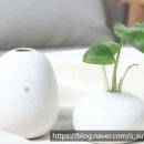 메디칼허브약국 이미지