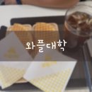 와플대학 용황캠퍼스