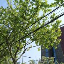 은정한의원 이미지