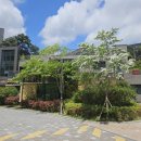 대신더샵경로당 이미지