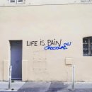 Life is pain