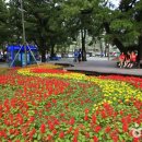 솔향지사