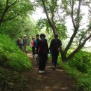 괴정2동-10 이미지