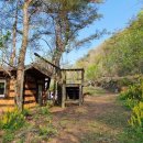 트리하우스 이미지