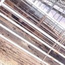 대운농장 이미지