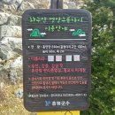 좌구산편의점 이미지