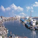 삼척남초등학교 이미지