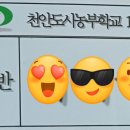 주렴산농장 | 학교 10기 6주 차 수업 후기, EM 배양액 만들기, 완두...주기, 감자 북주기, 주말농장, 텃밭 가꾸기...