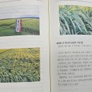 대월 - 여수시 무선6길 42-4 | 대월