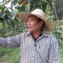 북일농장 이미지