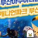 비와이컴퍼니 이미지