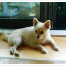 괴정2동-7 이미지