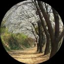 봉황세차장 이미지