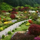 카멜펜션 이미지