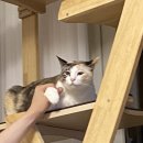 만재호 이미지
