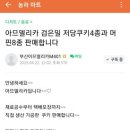 아므델리카