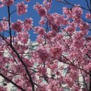 용암천변길 이미지